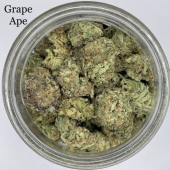 grape ape weed strain